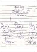 Chemical kinetics..class 12 level notes