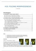 summary H10: folding morphogenesis by Prof Zwijsen