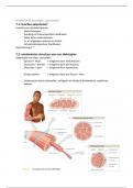 Samenvattingen -  Anatomie & fysiologie
