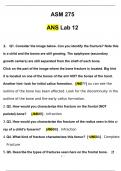 ASM 275 Lab 12 Questions with 100% Correct Answers | Verified | Latest Update