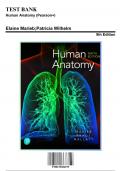 Test Bank: Human Anatomy (Pearson+) 9th Edition by Brady - Ch. 1-29, 9780135206195, with Rationales