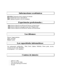 Exemple de CV Espagnol
