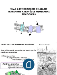 Intercambios celulares. Transporte a través de membranas biológicas