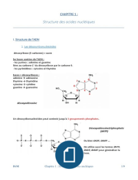 Introduction à la Génétique Moléculaire - Structure des acides nucléiques
