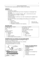 Nosocomiale infecties + cathetergeralteerde infecties
