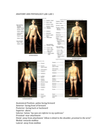 Anatomy & Physiology I Basic Body Concepts