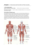 Summary NSCA&#39;s Essentials of Personal Training Chapter 1 t / m 16