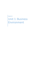 Unit 1 Business Environment P1 P2 M1 D1