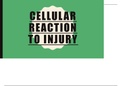 Cellular Reaction to Injury