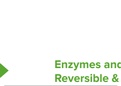 Biochemistry: Advanced Enzyme Kinetics