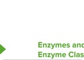 Advanced enzyme kinetics part 2