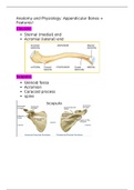 Appendicular and Axial Skeleton Overview