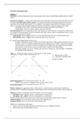 Derivative instruments summary book