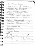 Molecular Biology Notes