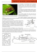 Arthropoda: Excrecion y Osmorregulacion