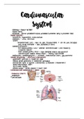 The Cardiovascular System and The Blood