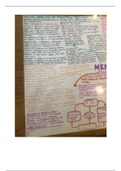 A3 laminated mind map - WMM, MSM, explanations for forgetting and eyewitness testimony)