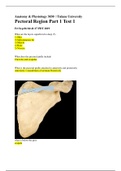   Pectoral Region part 4 test 1 | Anatomy & Physiology 3030 | Tulane University-Attempt Score 90%