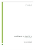 Anatomy & Physiology: Lymphatic System