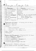 Complete Microbiology Review