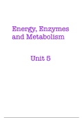 Theme 5 Energy, Enzymes and Metabolism