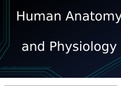 Part 1 Chapter 1 | Human Anatomy & Physiology