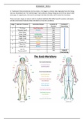 Week 1 -  Meridians Introduction Notes with Full Body Diagram