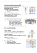 All the summaries of anatomy 