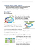 Samenvatting Celbiologie. Hoofdstuk 16 en 18 (Essential Cell Biology)