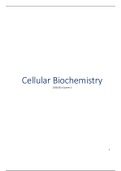 Cellular Biochemistry (BPoo7C) Radboud University Lecture Notes