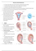 chapter 5 embryonic development part 