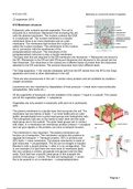 Summary Molecular Biology of the Cell 2 (MBOC2)