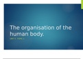 THE ORGANISATION OF THE HUMAN BODY