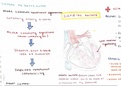 A summary of the main causes and clinical signs/symptoms of heart failure