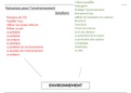 carte mentale (allemand et français) sur l'environnement 