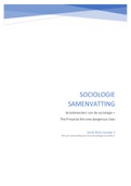 Sociologie samenvatting (periode 4)