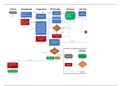 Presentation NURSING MISC ED Workflow Chart C792 Task 1.xlsx (1).