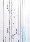 Class notes - Enzymes