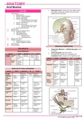 Class notes ANATOMY [Axial muscles]