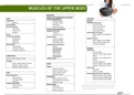 Complete Table of Upper Body Muscles with Images