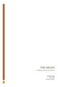 Summary 3.6 The Brain - Brain & Cognition specialisation - EUR 2020-2021