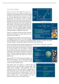 Summary Fundamental and Applied Virology (VIR30806)