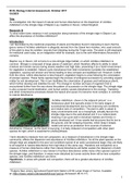 IB HL Biology: Ecology Internal Assessment (full marks)