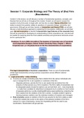 Summary Corporate Strategy Ownership and Governance