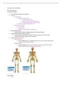 Medicine first year Anatomy Notes