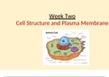 WEEK 2 Notes-Cell Structure and Plasma Membrane ppt