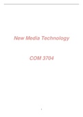 COM3704 - Notes (Summary)