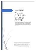 matric IEB visual cuture studies syllabus