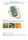Microbiology handbook