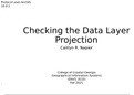 Checking the feature layer projection in ArcGIS (protocol)